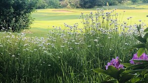Un parcours de golf avec un terrain verdoyant, des arbres et des fleurs sauvages.