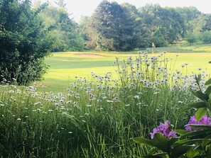 Golf - Cottage / 2 BEDROOMS/ 4 pers/pool/golf/calm (Ploemel)