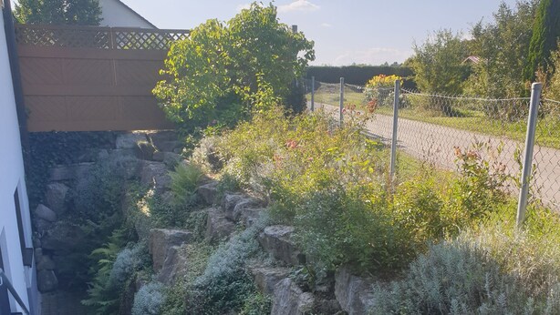 A garden with a stone wall, various plants, and a pathway leading to a building.
