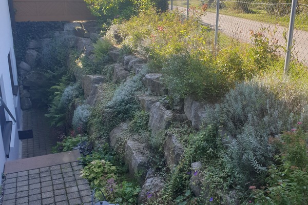 Jardines del alojamiento