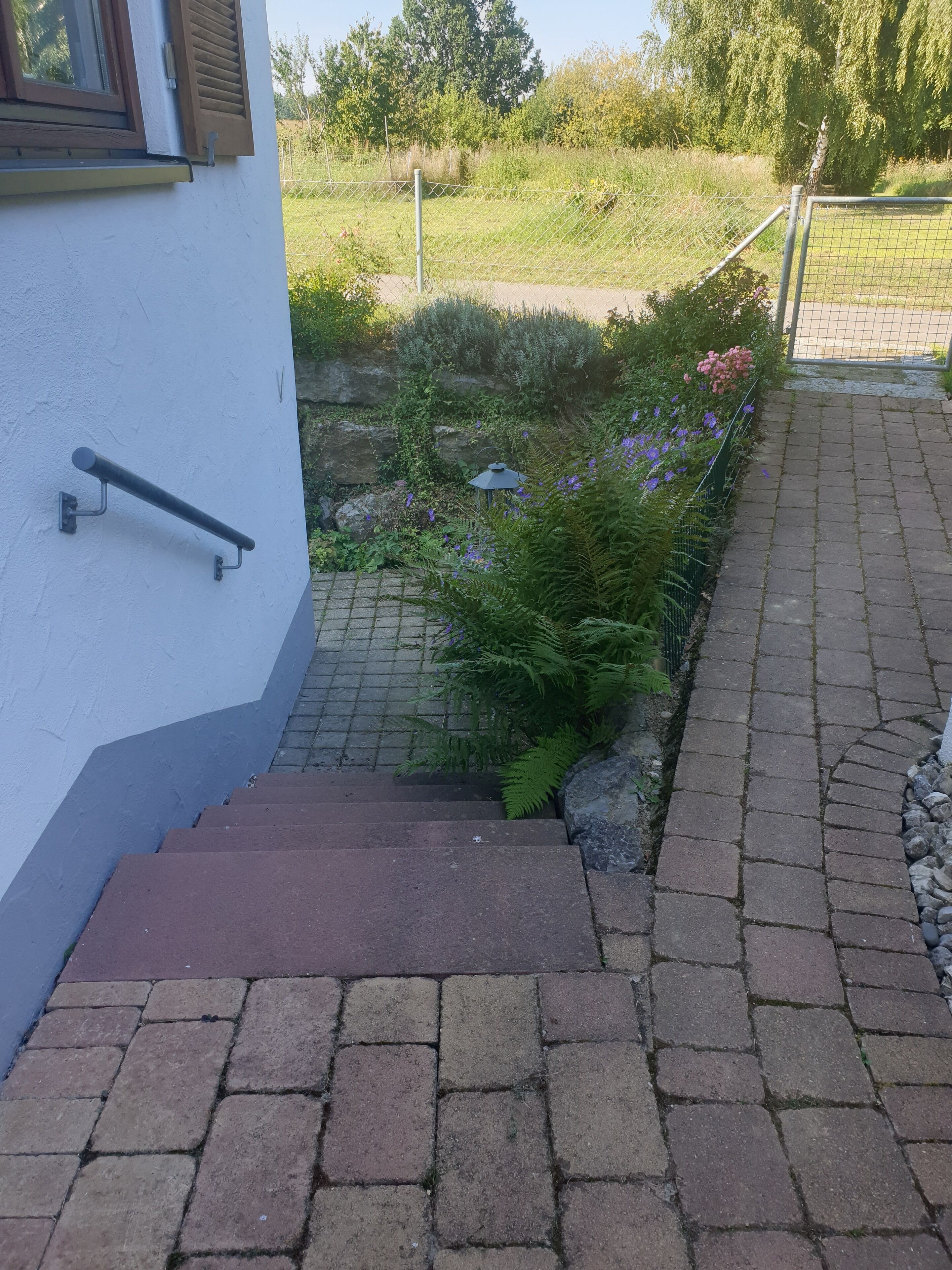 Un conjunt d'escales exteriors de pedra que condueixen a una zona de jardí amb una barana de metall a l'esquerra, envoltat de verdura i un camí pavimentat.