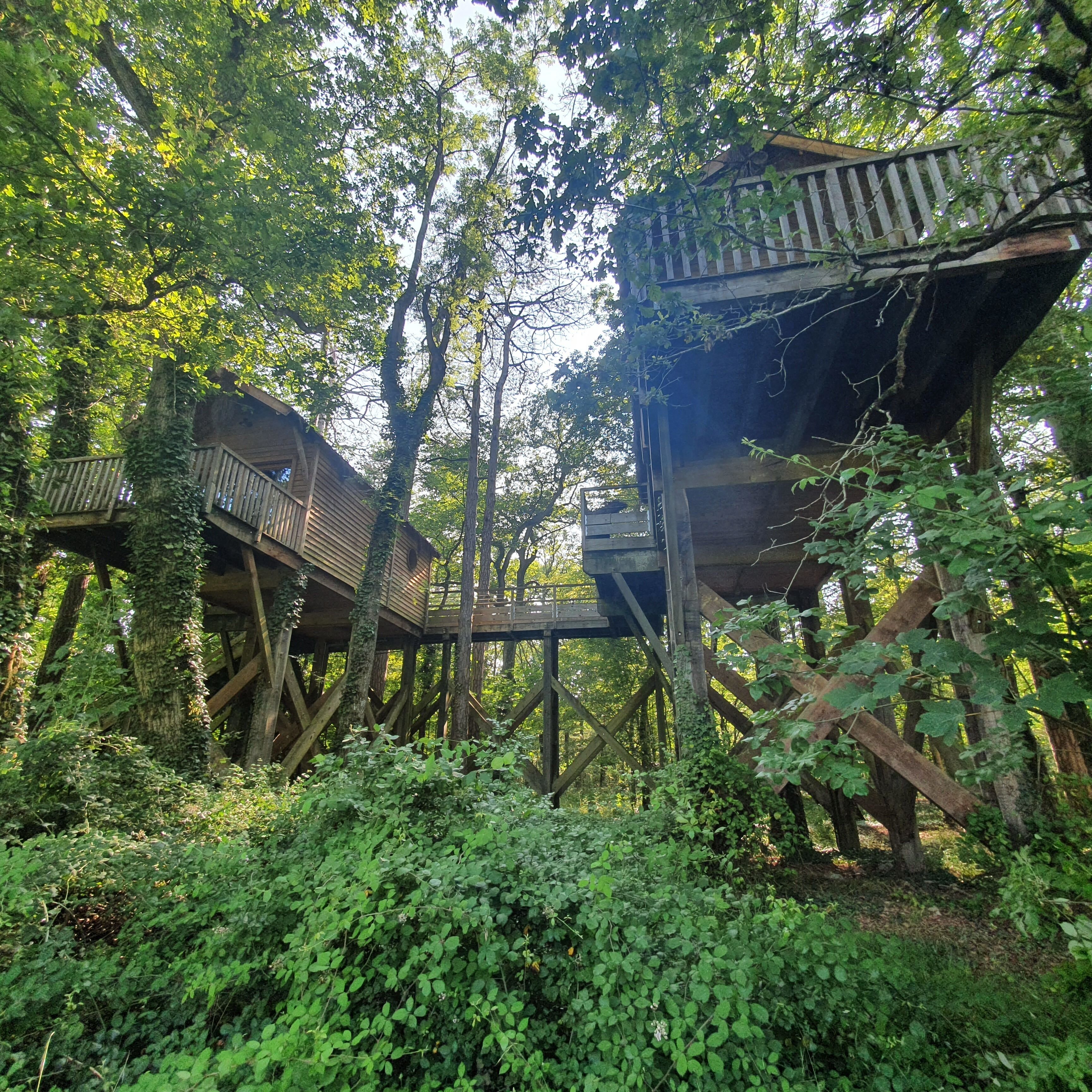 A treehouse structure with wooden platforms and railings, surrounded by dense greenery.