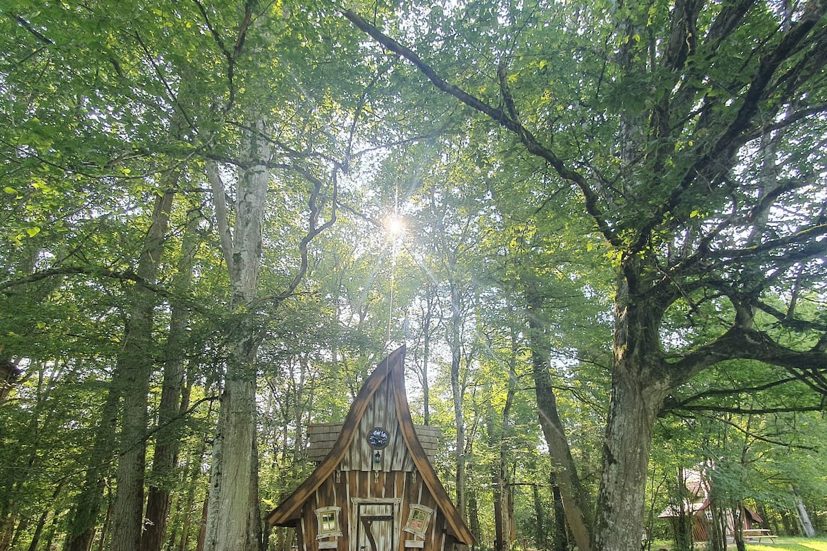 A rustic wooden cabin surrounded by trees in a forest.