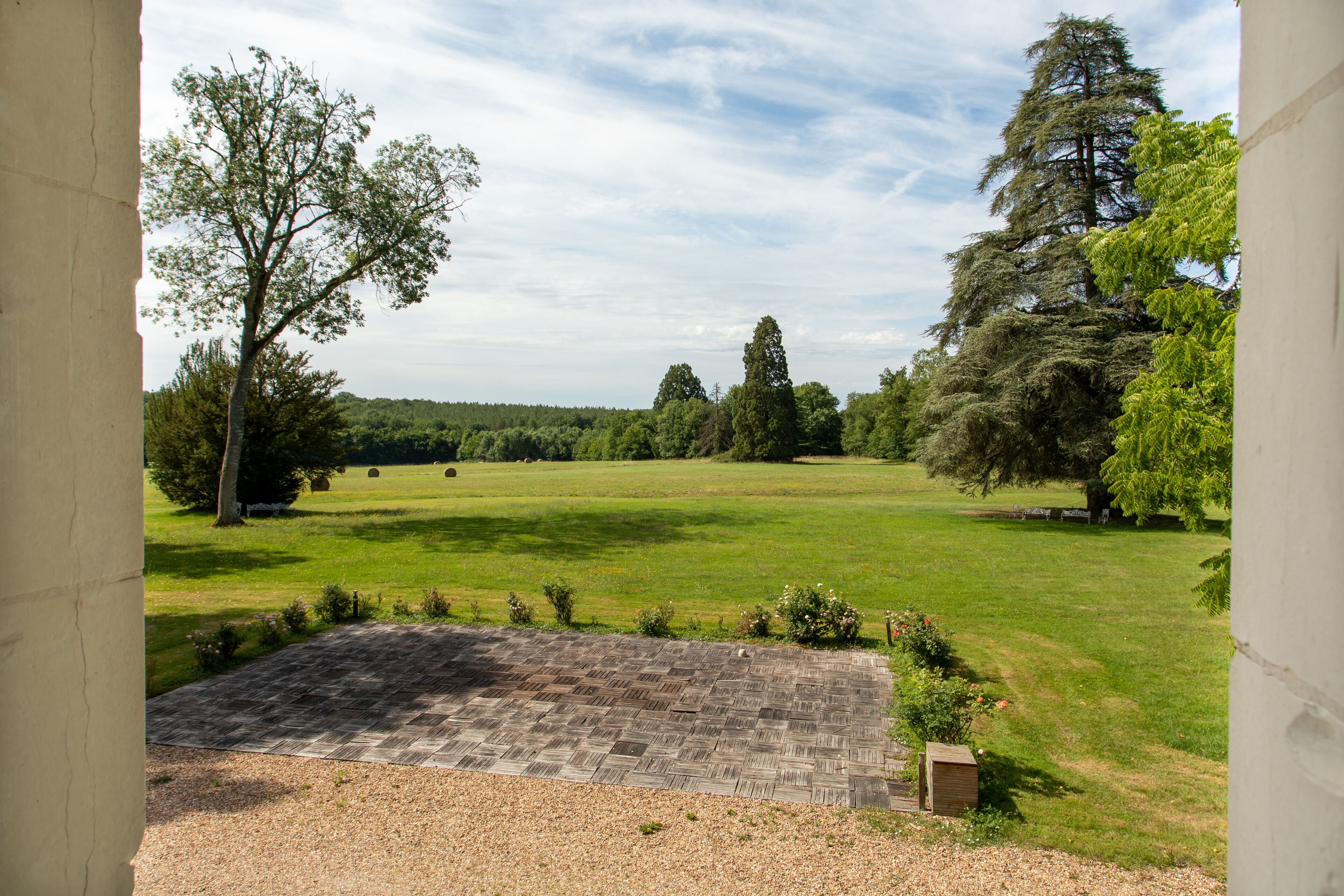 A view of a grassy field with trees and a paved area in the foreground.