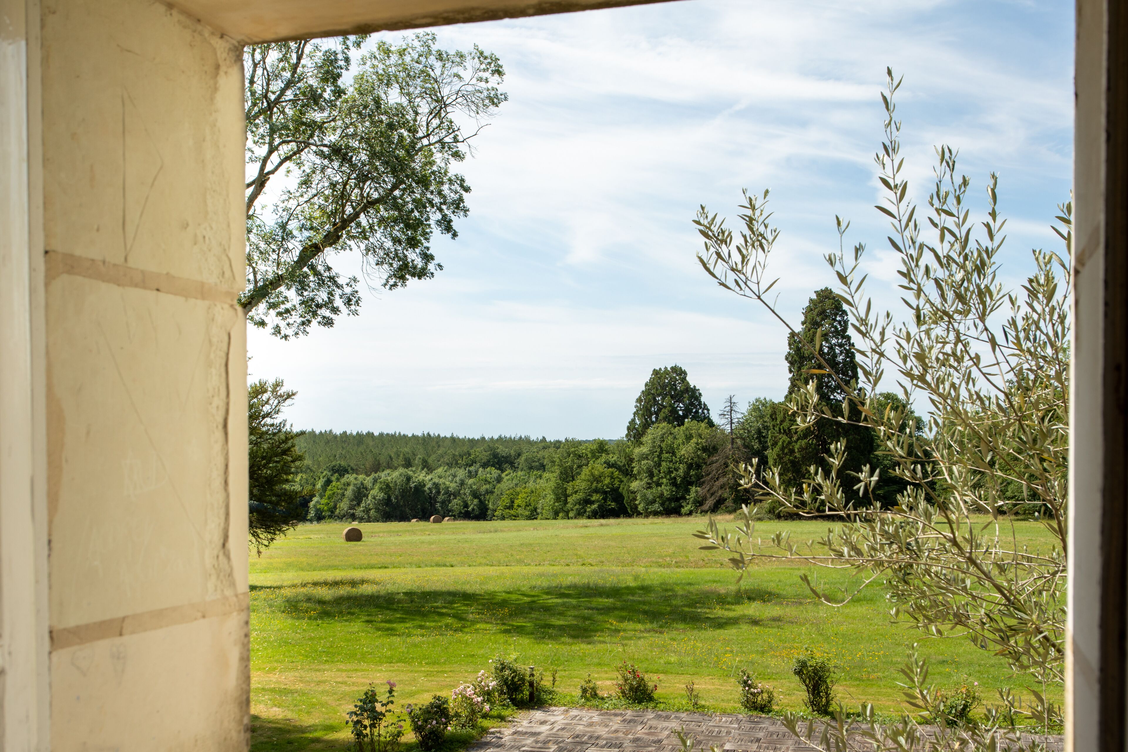 A view from a window overlooking a green field with trees and a clear sky.
