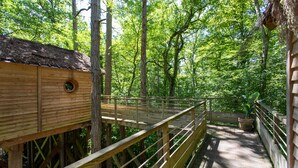Un pont de fusta amb baranes, envoltat d'una vegetació verda i densa.