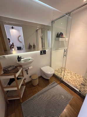 Shower, hair dryer, towels, soap