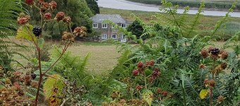 South-western edge of Dartmoor National Park, On Tamar Coast to Coast Way