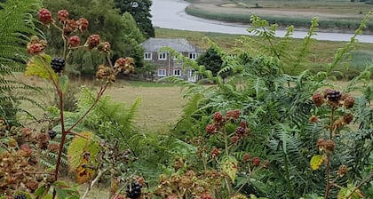 South-western edge of Dartmoor National Park, On Tamar Coast to Coast Way