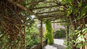A garden pathway with a pergola structure, surrounded by dense foliage and a stone wall.