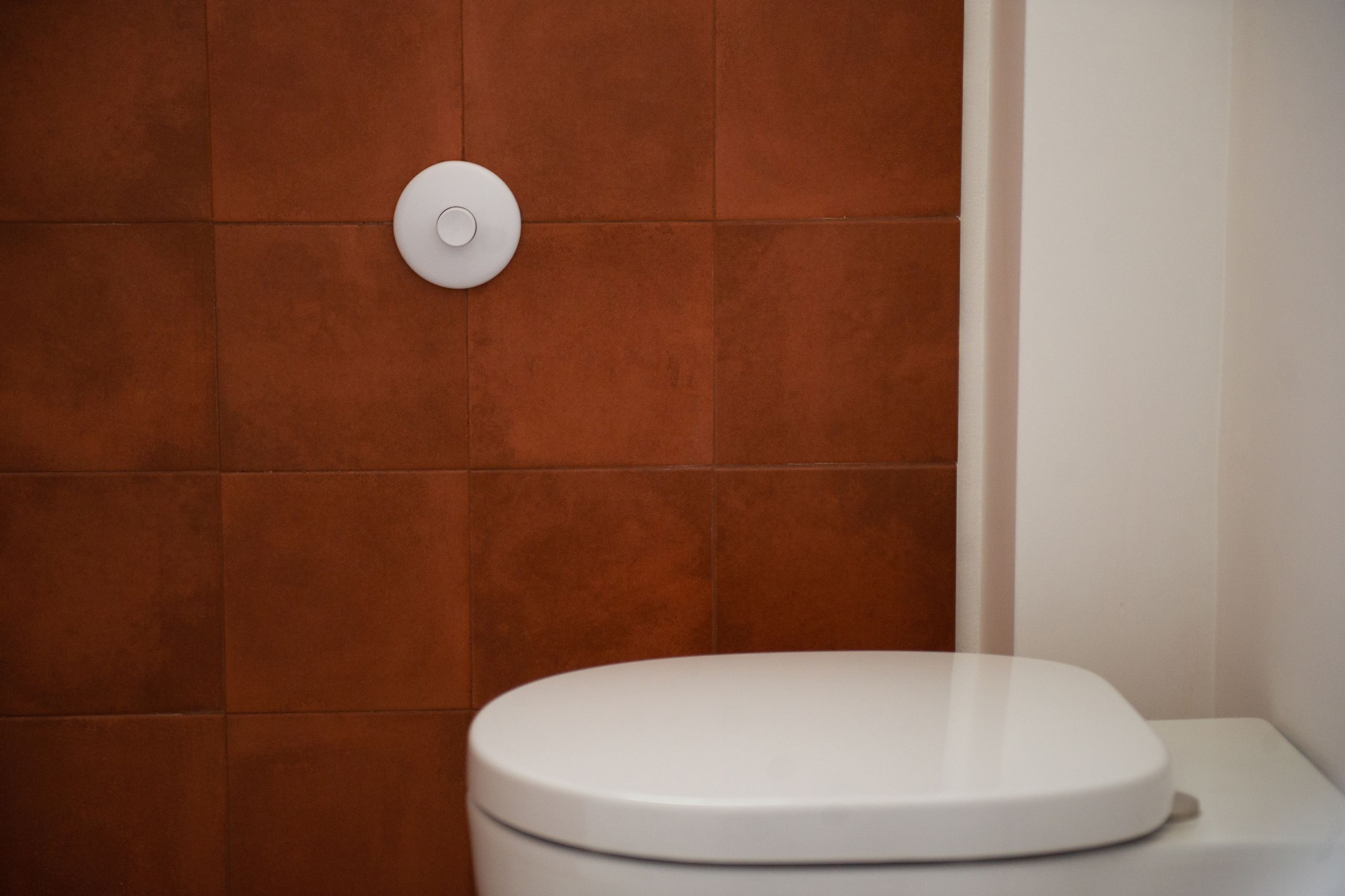 Chuveiro, secador de cabelo, toalhas de banho 