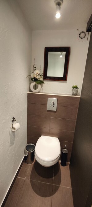 Regadera, secadora de cabello, toallas, papel de baño 