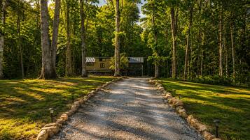 A gravel path leading to a cabin surrounded by trees.