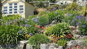 Una serie di piccoli edifici a un piano con finestre numerate, circondati da fiori colorati e vegetazione, con uno sfondo di alberi e colline.