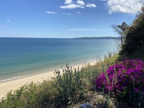 A beach with clear blue water, sandy shore, and purple flowers in the foreground.