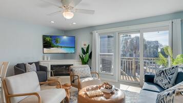 Smart TV, fireplace, books