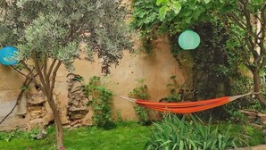 Een tuin met een hangmat, groene planten en een muur met een stenen detail.