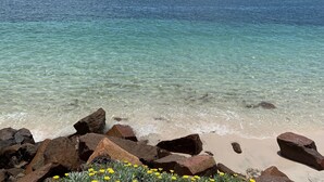 A beach with clear water, rocks, and yellow flowers in the foreground. - Sandy Point Beach House - On The Waterfront.  Mid Week Stay Special Is Now On. (Corlette)