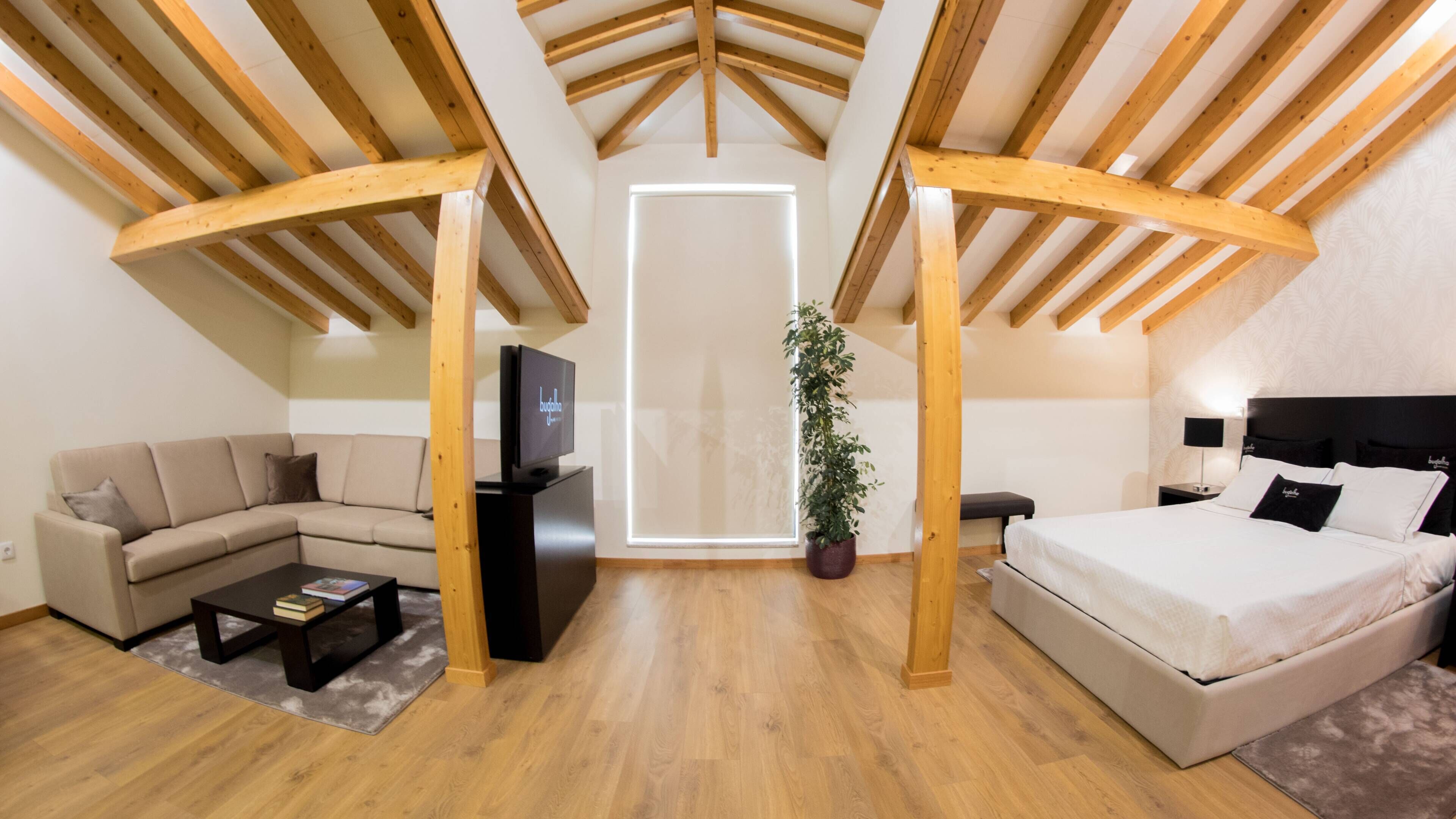 Un dormitorio estilo loft moderno con techo de madera, un ventanal grande, cama, sofá, televisor y una planta en maceta.