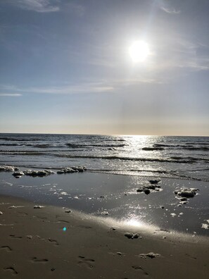 Plage à proximité