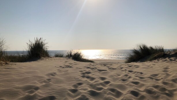 Ein sandiger Strand mit tiefstehender Sonne, die eine Silhouette der Dünen wirft.