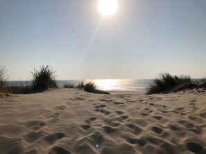 Une plage de sable, avec le soleil bas à l’horizon, créant la silhouette des dunes.