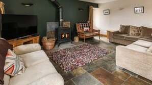 Un salon chaleureux avec une cheminée, un téléviseur et des fauteuils confortables.