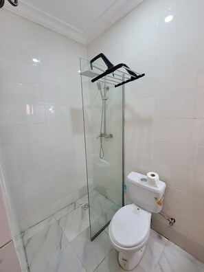 Douche, serviettes fournies, papier toilette