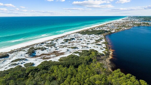 Vue aérienne d’une zone côtière avec une plage, une végétation luxuriante et une vaste étendue d’eau.