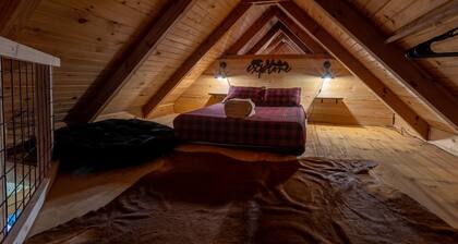 Rustic Pines Cabin | Peaceful, Classic Cabin Near Brevard