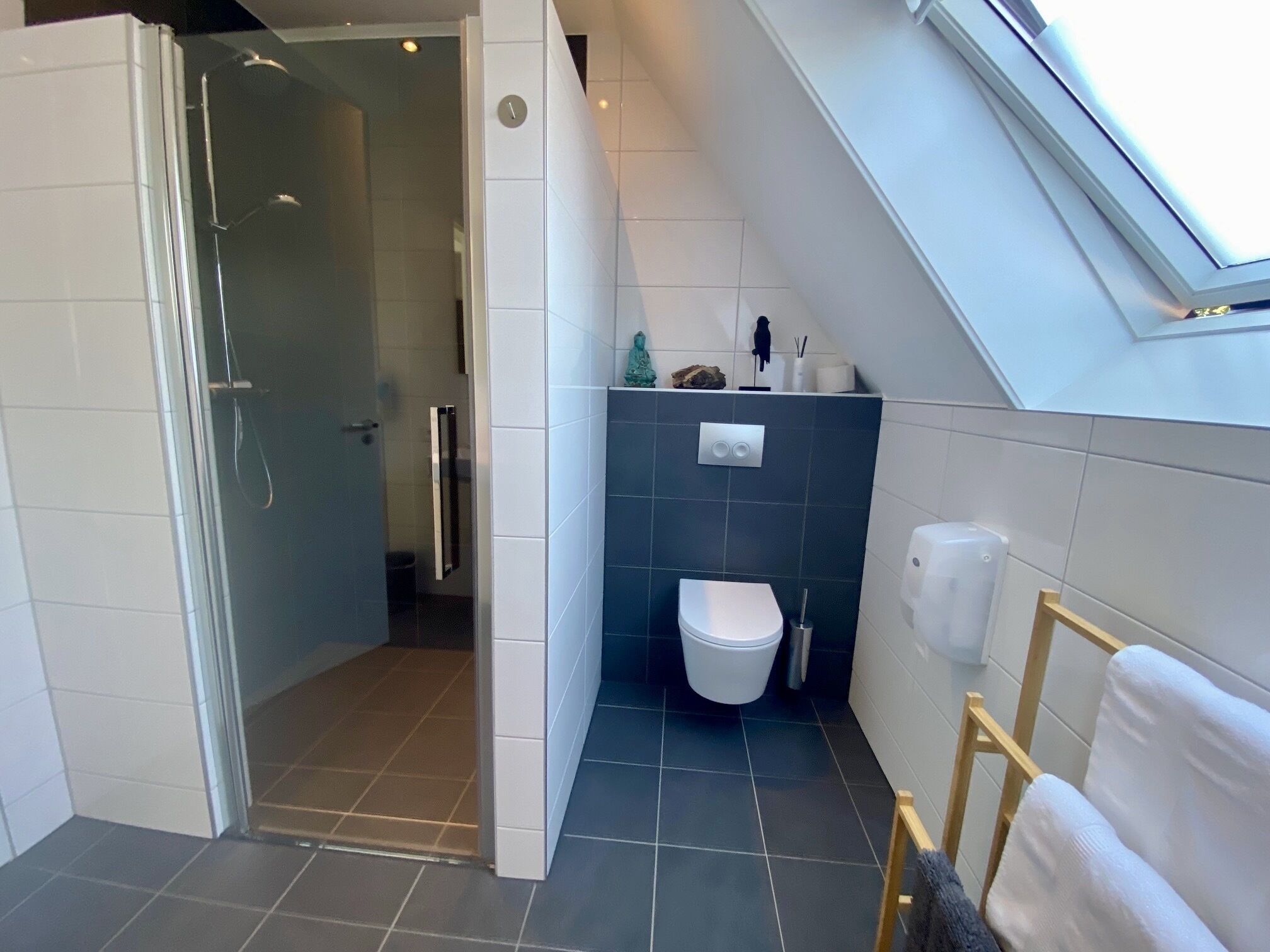 Un baño moderno con ducha, inodoro y tragaluz.