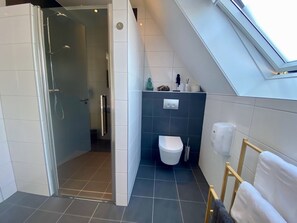 Ein modernes Badezimmer mit Dusche, Toilette und Dachfenster.