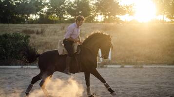 Eine Person reitet ein Pferd in einer Sandbahn, im Hintergrund sind Bäume zu sehen.