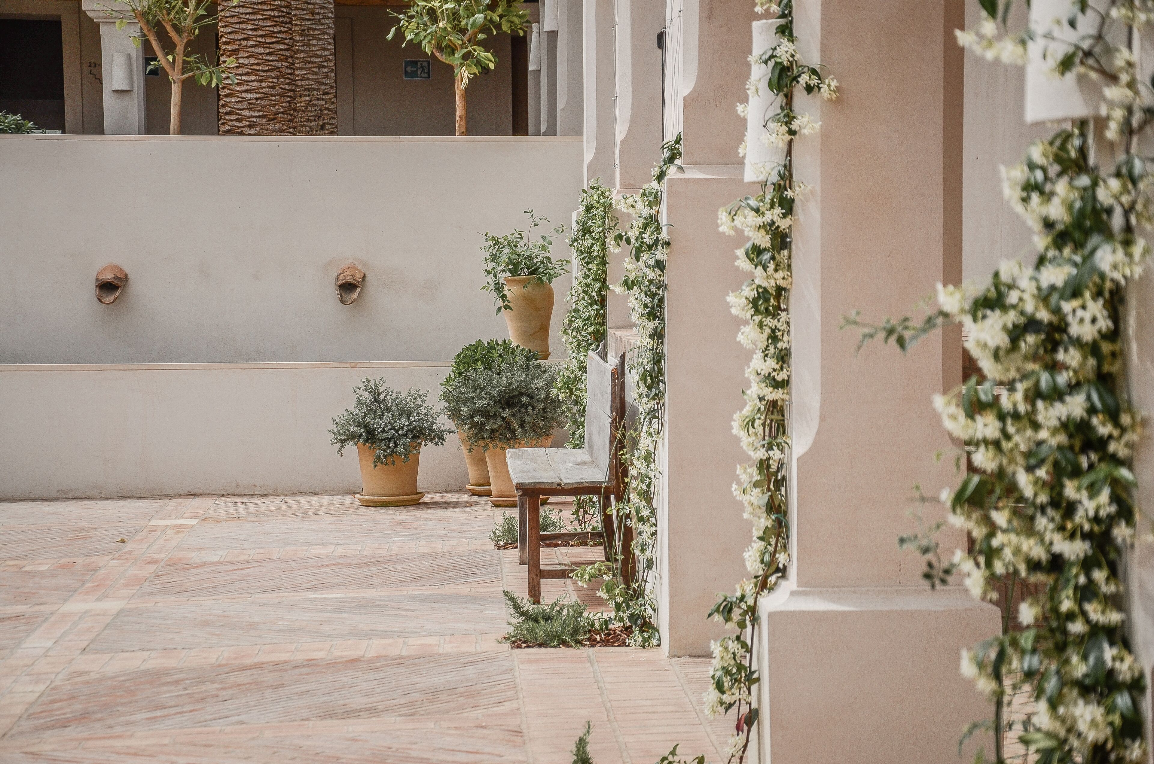 Een binnentuin met potplanten, een bank en een muur met decoratieve details.
