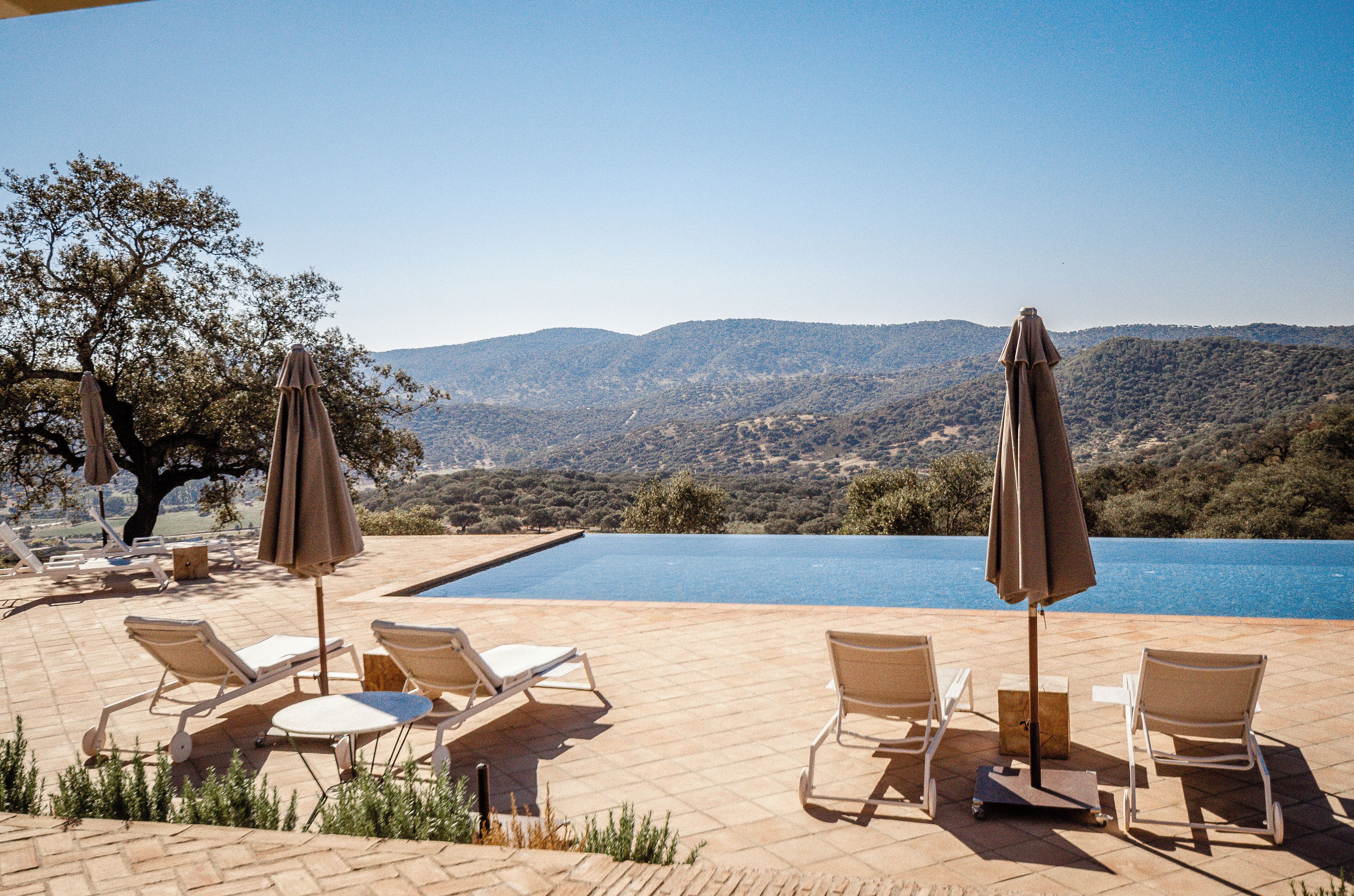 屋外プール、営業時間 11:00 ～ 20:00、プール パラソル、サンラウンジャー