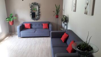 TV, table tennis, books