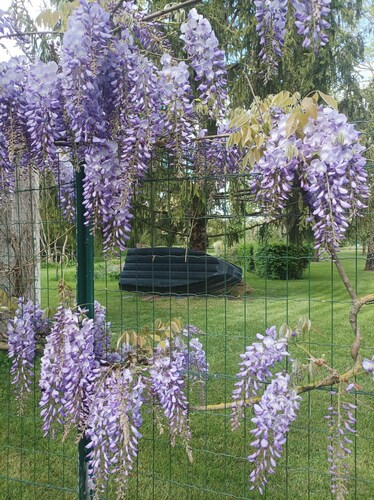 Ideal for relaxing, visiting the marshes, overlooking the pool, gardens, boating, cycling...