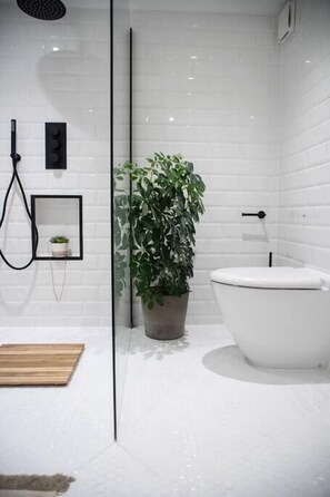 Shower, hair dryer, towels, shampoo