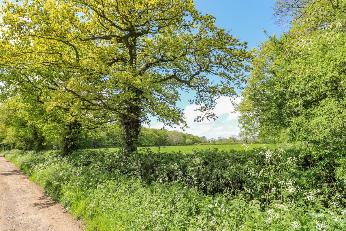 A dirt path flanked by lush greenery and a large tree.