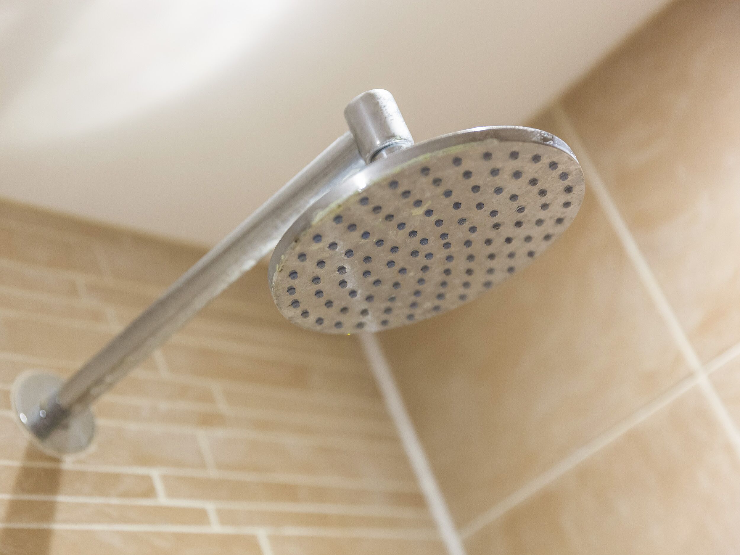 Un pommeau de douche percé, fixé au mur au-dessus d’un sol carrelé.
