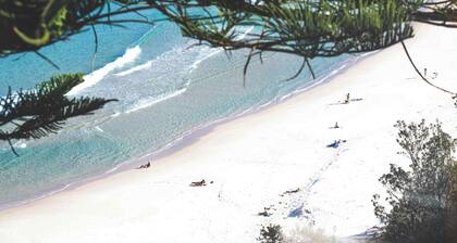 The Fibro Majestic Su