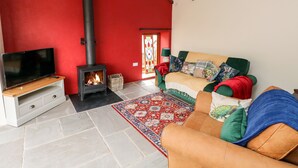 A living room with a TV, a fireplace, a sofa, and a patterned rug. - Lime Kiln Cottage (Bridgend)