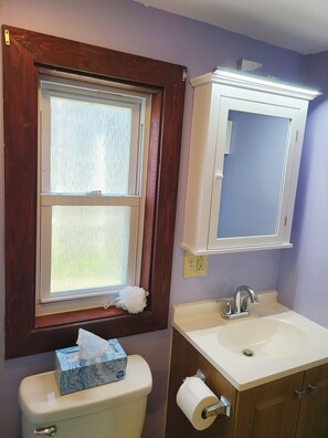 Combined shower/tub, towels, soap, toilet paper
