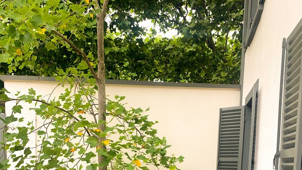 A garden with various plants and flowers, a tree, and a building with shutters.