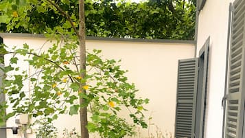 DĂ©tail de lâextĂ©rieur