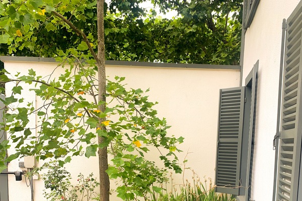 Außendetails