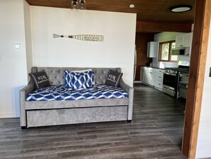 Smart TV, fireplace, DVD player, books