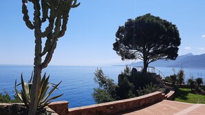 A coastal landscape with a clear view of the sea, a large tree, and a paved area with steps leading down to the water. - House by the sea (Cefalù)