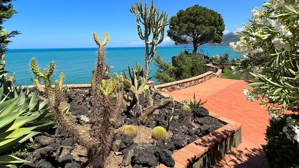 A garden with cacti and flowers, a brick pathway, and a view of the sea. - House by the sea (Cefalù)