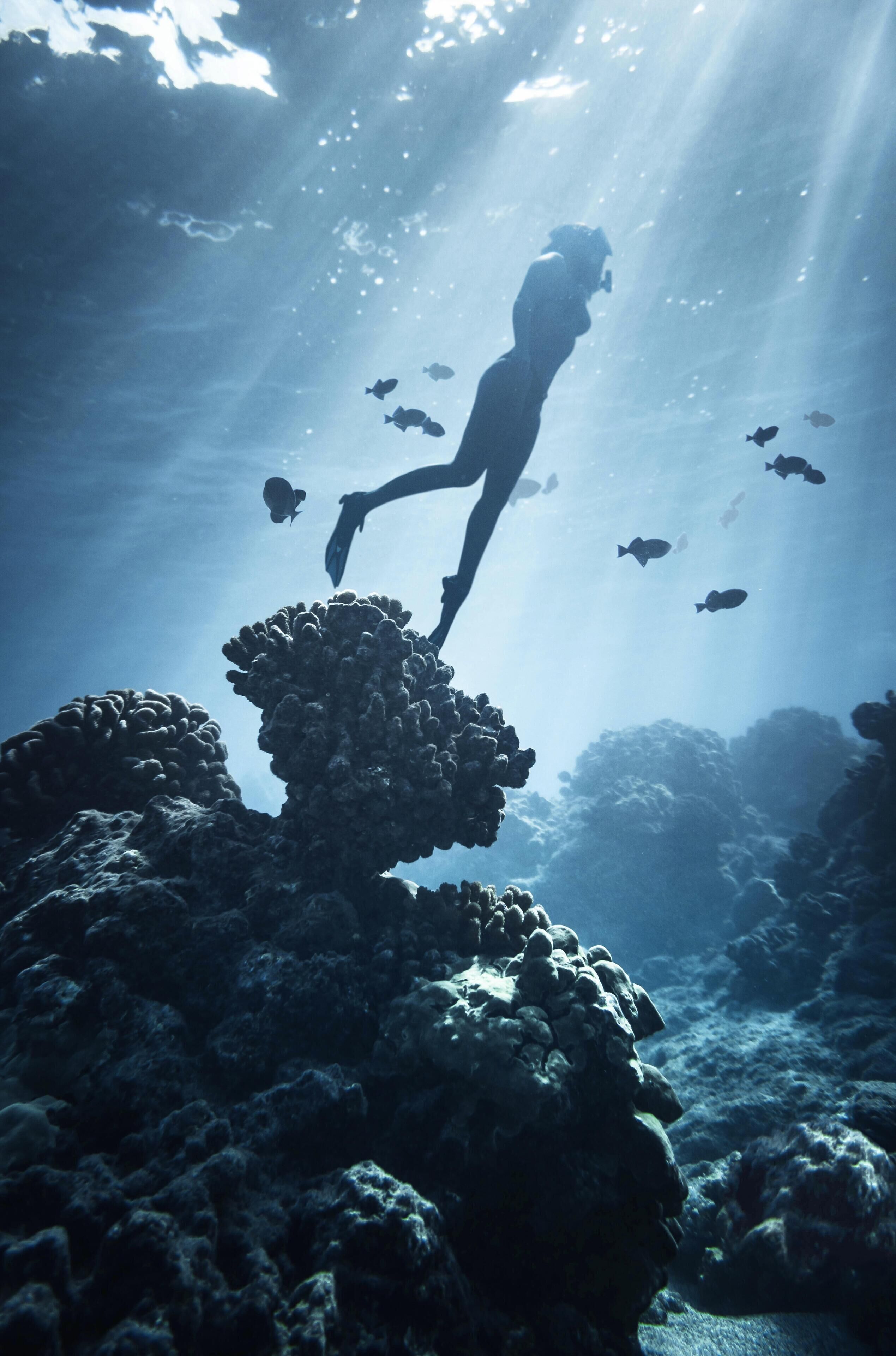 A diver swimming near coral formations.
